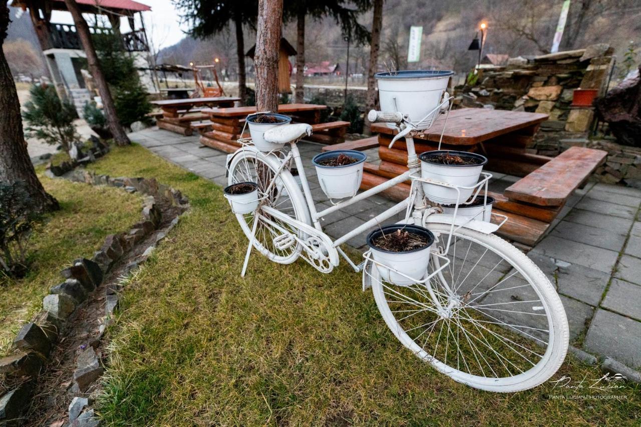 Casa Micutu Si Lya Villa Strungari Exterior foto